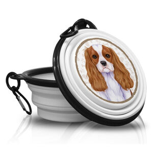 MTG-029-KING CHARLES SPANIEL