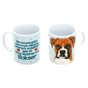 KCP-008-BOKSER