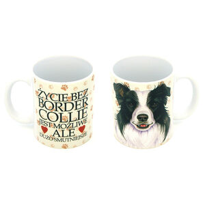 KCP-009-BORDER COLLIE