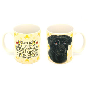 KCP-027-LABRADOR CZARNY
