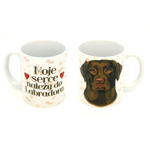 KCP-028-LABRADOR BRĄZOWY