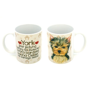 KCP-048-YORK