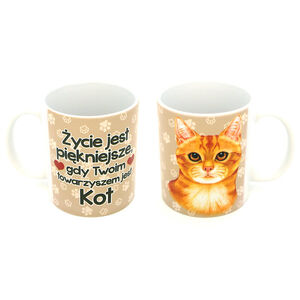 KCP-054-KOT RUDY