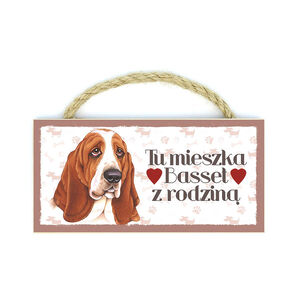 MP-003-BASSET