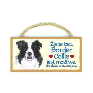MP-009-BORDER COLLIE