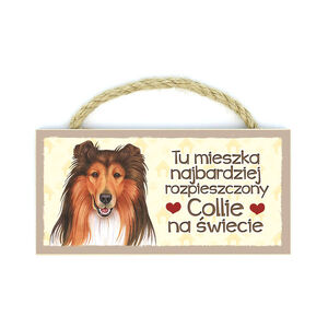 MP-018-COLLIE