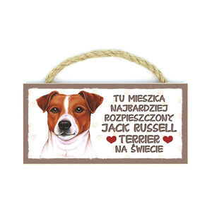MP-021-JACK RUSSELL TERRIER