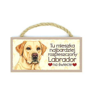 MP-025-LABRADOR BISZKOPT (ŻYCIE BEZ)