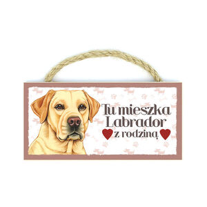 MP-026-LABRADOR BISZKOPT (ŻYCIE JEST)