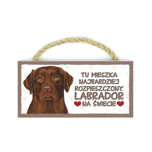 MP-028-LABRADOR BRĄZOWY