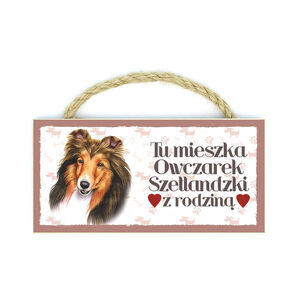 MP-036-OWCZAREK SZETLANDZKI
