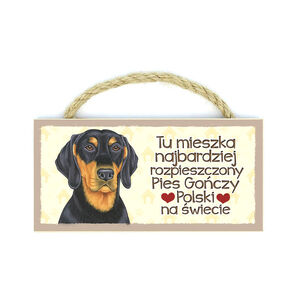 MP-039-PIES GOŃCZY POLSKI
