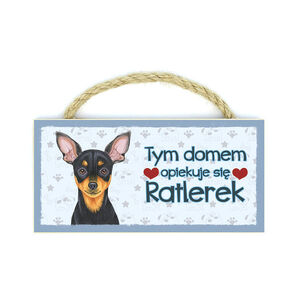 MP-041-RATLEREK