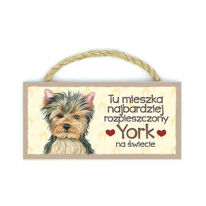 MP-050-YORK (TU MIESZKA)