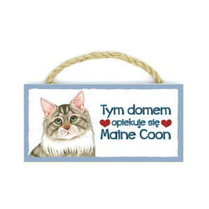 MP-052-MAINE COON