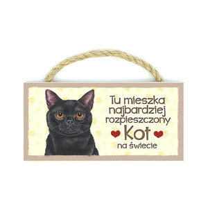 MP-053-KOT CZARNY