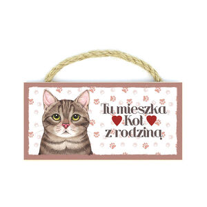 MP-054-KOT SZARY ( TU MIESZKA)