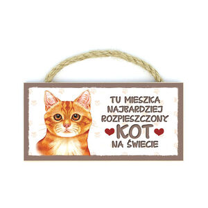 MP-056-KOT RUDY