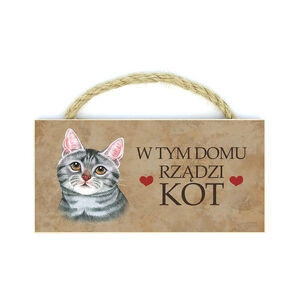 MP-057-KOT SZARY ( W TYM DOMU)
