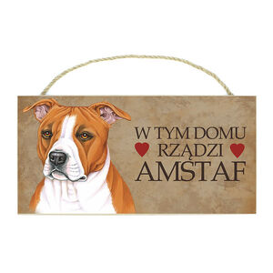TP-002-AMSTAFF