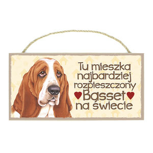 TP-003-BASSET
