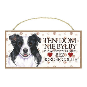TP-008-BORDER COLLIE