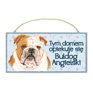 TP-011-BULDOG ANGIELSKI