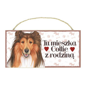 TP-016-COLLIE