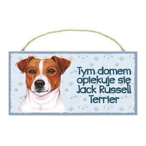 TP-019-JACK RUSSELL TERRIER