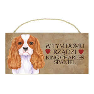 TP-022-KING CHARLES SPANIEL