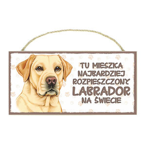 TP-024-LABRADOR BISZKOPT (TU MIESZKA)