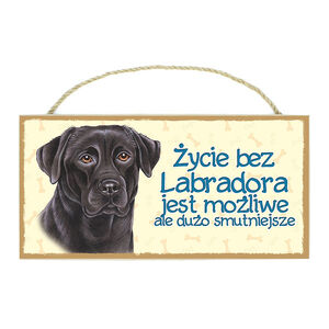 TP-025-LABRADOR CZARNY
