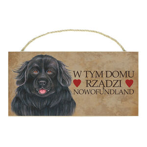 TP-030-NOWOFUNDLAND
