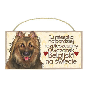 TP-031-OWCZAREK BELGIJSKI