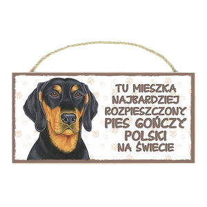 TP-037-PIES GOŃCZY POLSKI