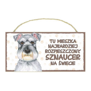 TP-044-SZNAUCER