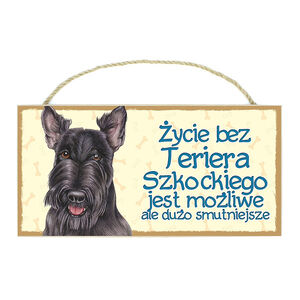 TP-045-TERIER SZKOCKI