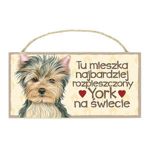TP-050-YORK (TU MIESZKA)