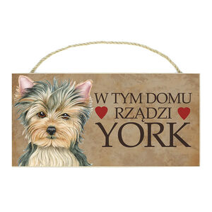 TP-051-YORK (W TYM DOMU)