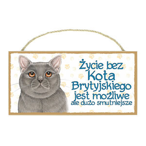 TP-052-KOT BRYTYJSKI