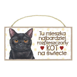 TP-058-KOT CZARNY