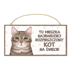TP-059-KOT SZARY (TU MIESZKA)