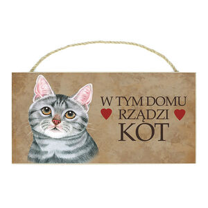 TP-062-KOT SZARY (W TYM DOMU)