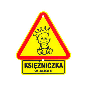TS-007-KSIĘŻNICZKA W AUCIE