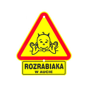 TS-008-ROZRABIAKA W AUCIE
