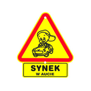 TS-009-SYNEK W AUCIE