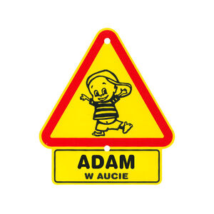 TS-012-ADAM