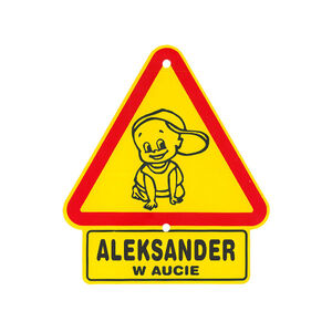 TS-017-ALEKSANDER