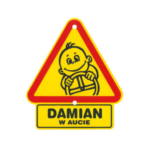 TS-028-DAMIAN