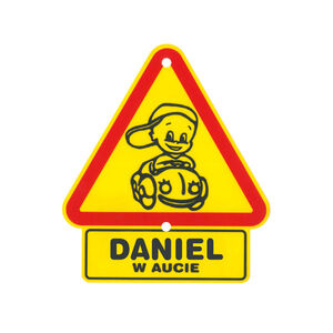 TS-029-DANIEL